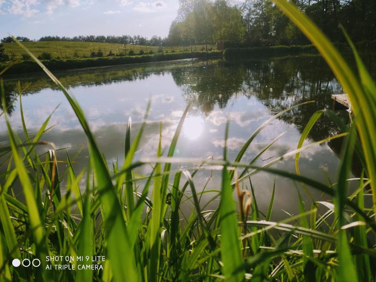 Holiday home Wczasymazurskie - Caloroczny 